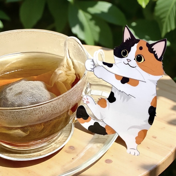 Ocean-teabagの陸のティーバッグ ネコだっこティー ダージリン