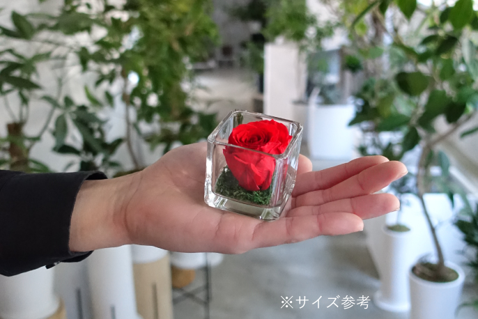 RENの【枯れないお花】プリザーブドフラワー『ミニローズキューブ』を
