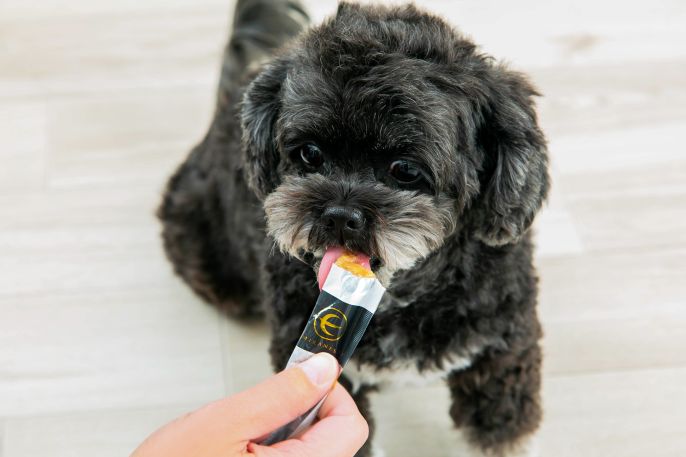 MIRANESTのミラネストゼリースティック FOR DOG（7本入り）【ポスト