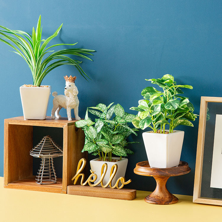 花とインテリア雑貨 フルール・バザールのリビングや寝室に癒し空間