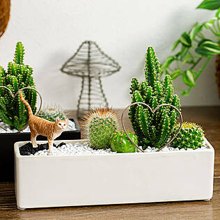 花とインテリア雑貨 フルール・バザールのリビングや寝室に癒し空間