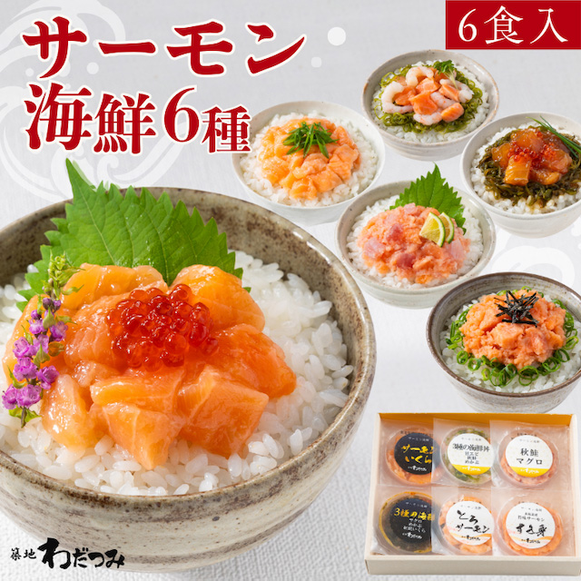 アップ・スウェルの築地わだつみ サーモン丼の具 6種セット【冷凍】を