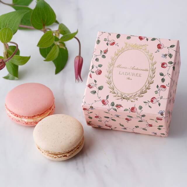 最新！】ラデュレのテマリーアントワネットの紅茶のサシェ単品
