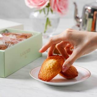 Laduree bottle 500ml (日本未発売) パリ発 ☆ラデュレ☆ 水筒 500ml (LADUREE/タンブラー・水筒