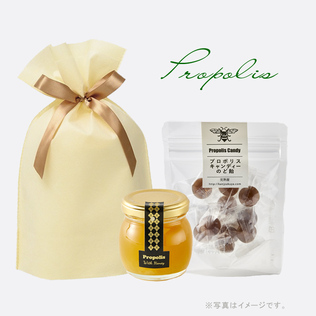 BEE FRIENDSHIPの《蜂蜜》プロポリス蜂蜜120g＆プロポリスのど飴