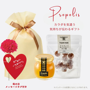 BEE FRIENDSHIPの《蜂蜜》プロポリス蜂蜜120g＆プロポリスのど飴