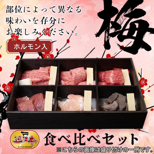 近江牛焼肉・ホルモン 食べ比べセット 【松】 近江牛&ホルモン 食べ比べセット【松】（100g×6種）【希少部位